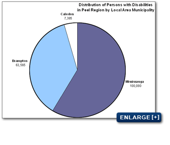 Distribution of Persons with Disabilities in Peel Region by Local Area Municipality