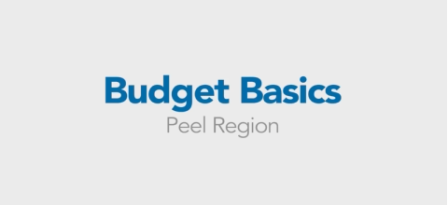 Budget basics