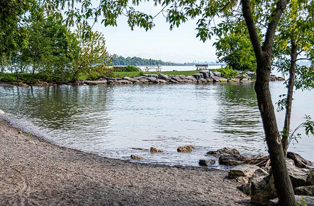 Photo of Darling park shore