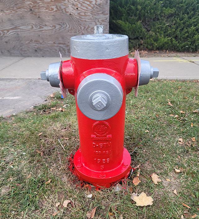 Painted fire hydrant