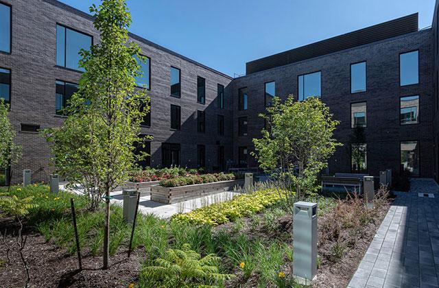 courtyard mayfield project