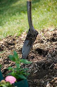 shovel digging into mulch