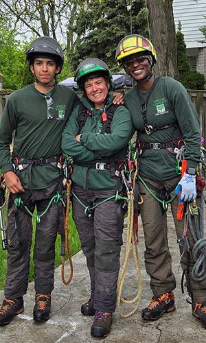 green canopy tree services group
