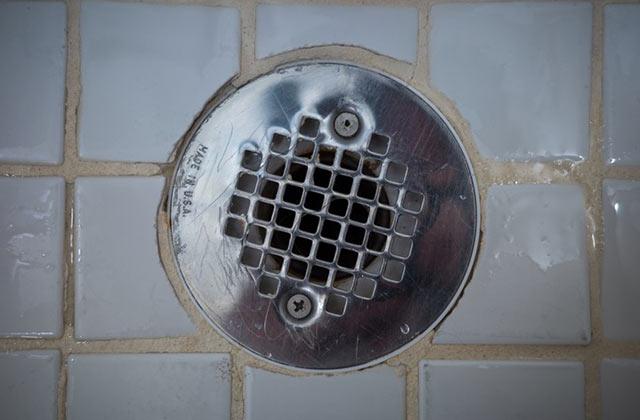Shower drain