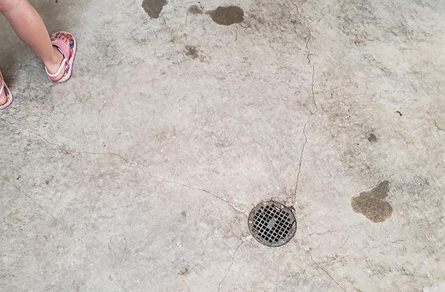 Laundry or furnace room floor drain